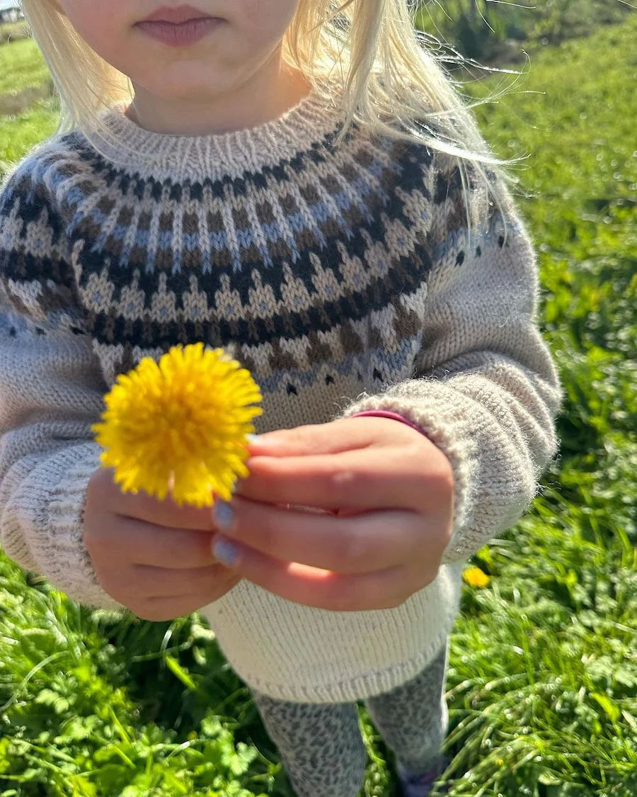 Celeste Sweater Junior Celeste Sweater Junior