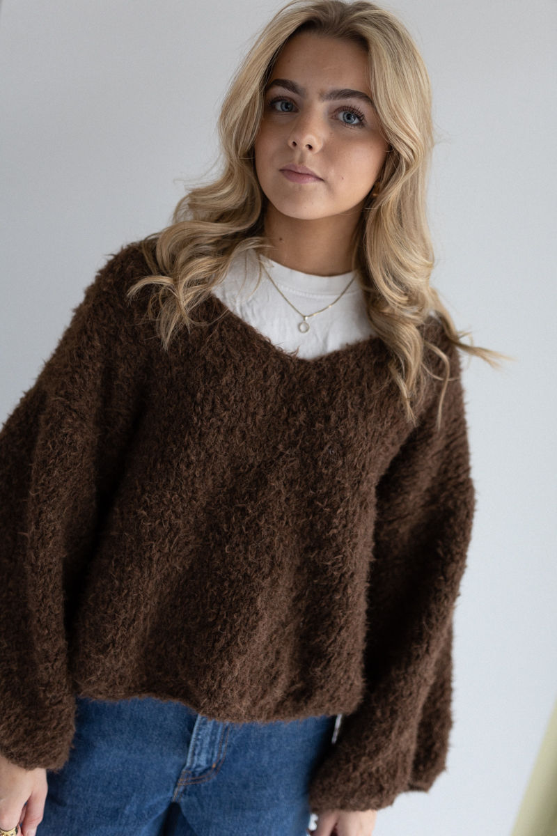 Teddy V-Neck Sweater